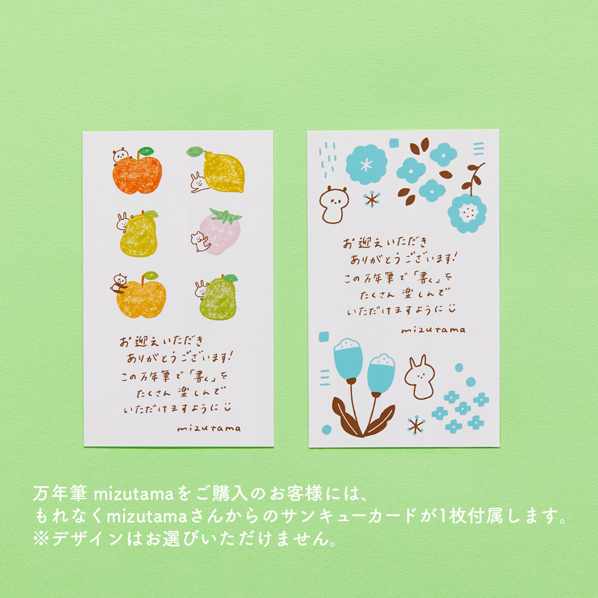 プロフェッショナルギアスリム万年筆 mizutama シルバー/ベビーブルー