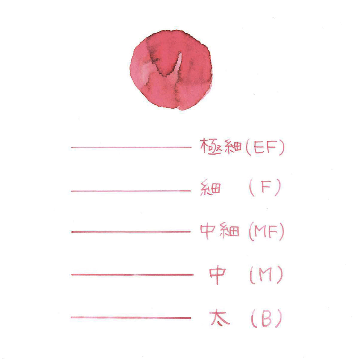 プロフェッショナルギアスリム 桜限定セット | ancora direct